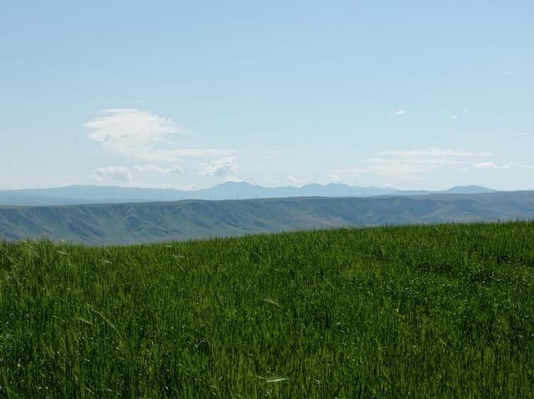 На окраине Оша