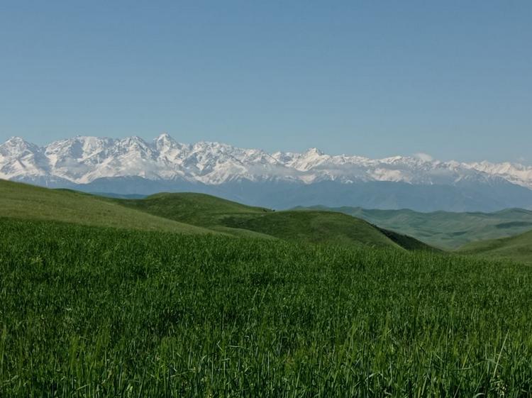 На окраине Оша