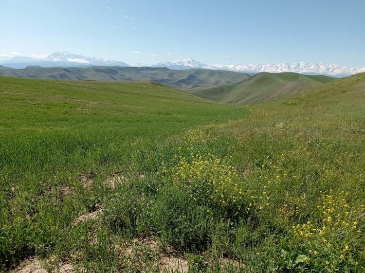 На окраине Оша
