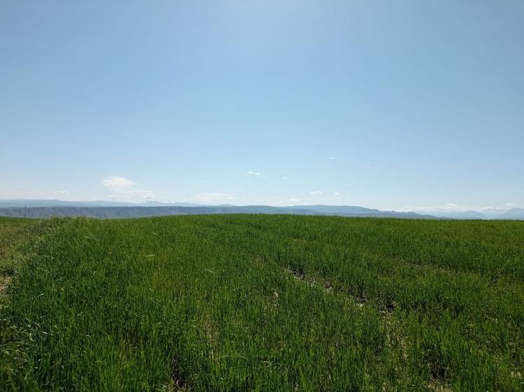 На окраине Оша