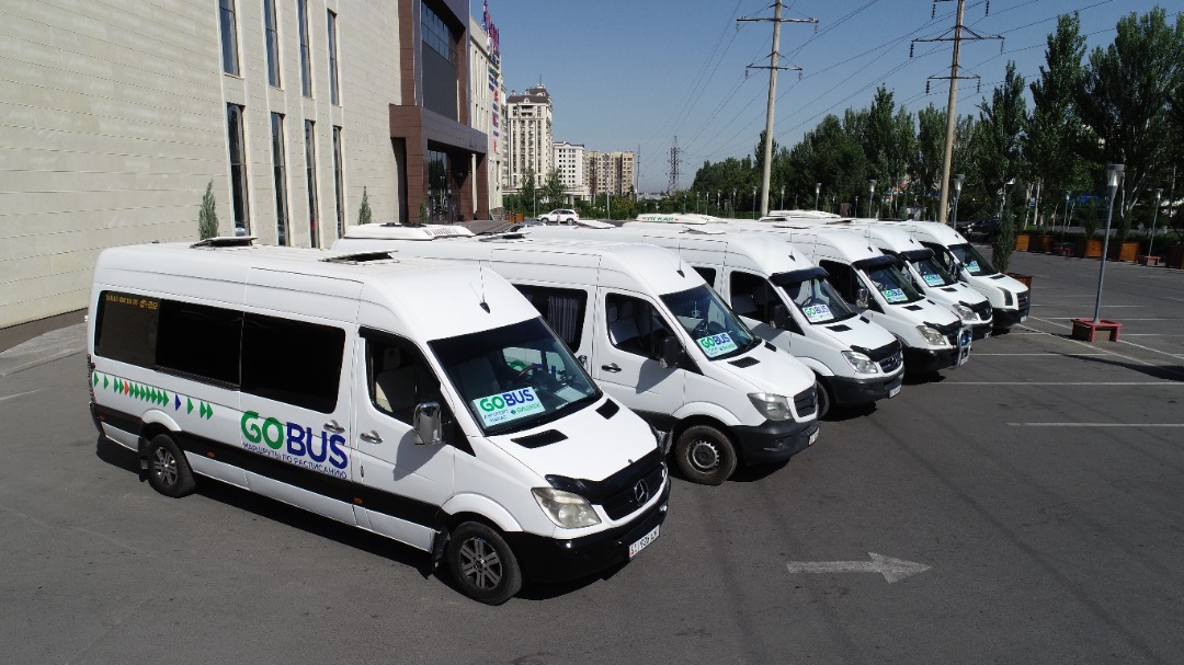 Вышедшие на линию автобусы