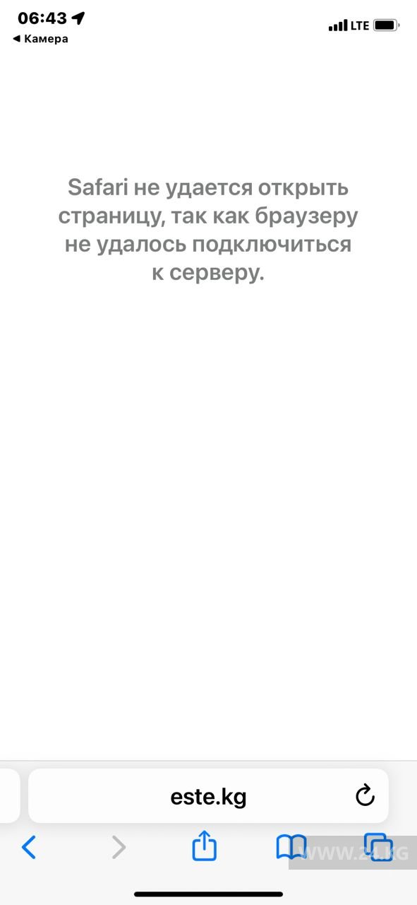 Сайт проекта Este.kg