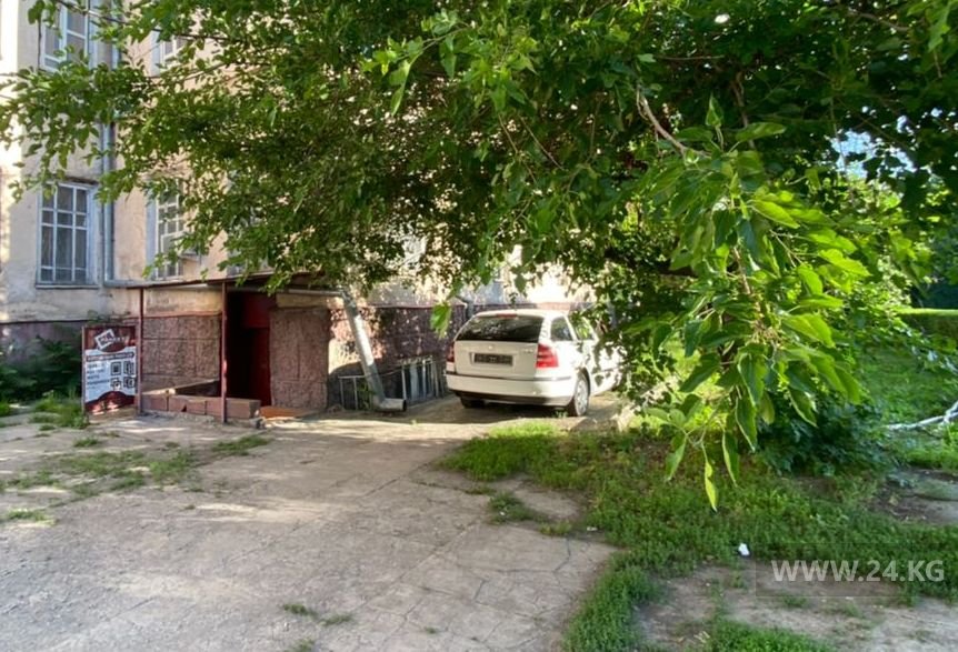 Чудаки парковки