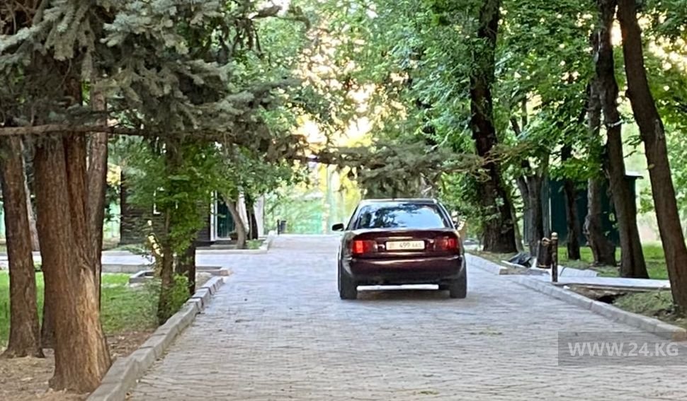 Чудаки парковки