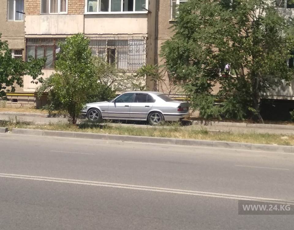 Чудаки парковки
