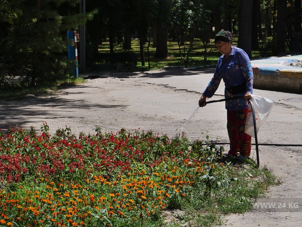 Всю Карагачевую рощу обслуживают всего лишь десять человек