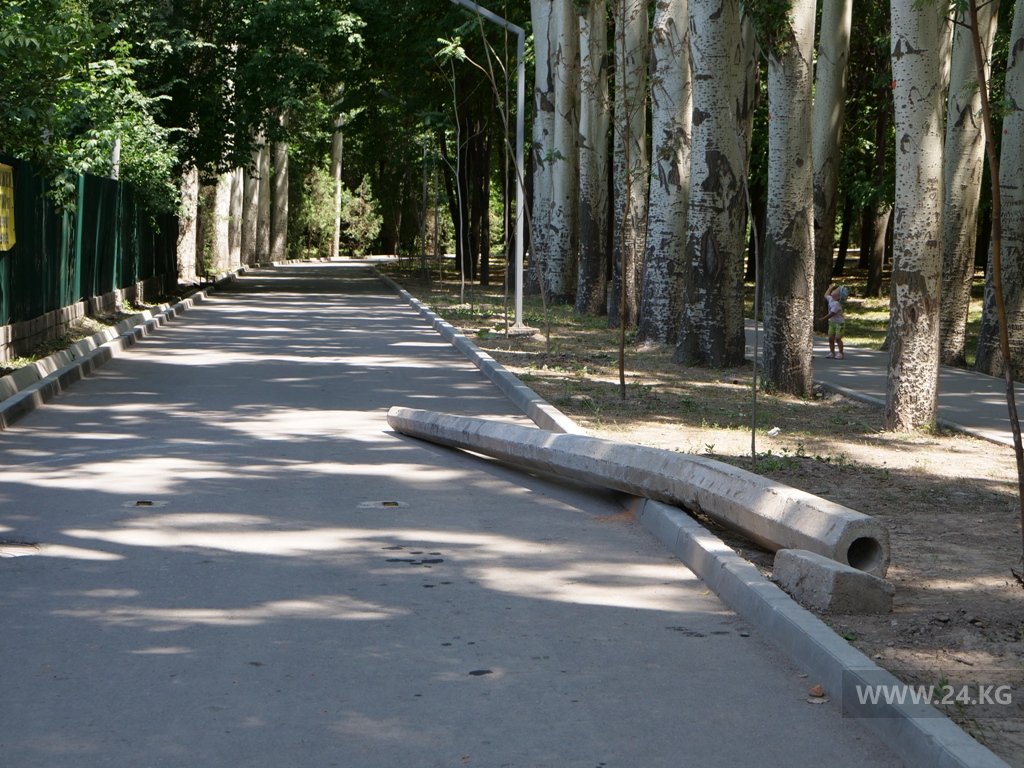 Первое, что видят посетители парка