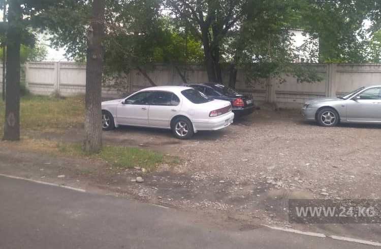 Чудаки парковки