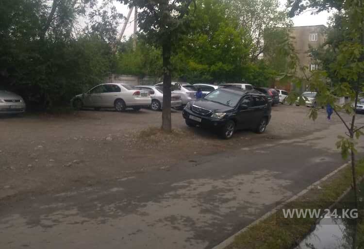 Чудаки парковки