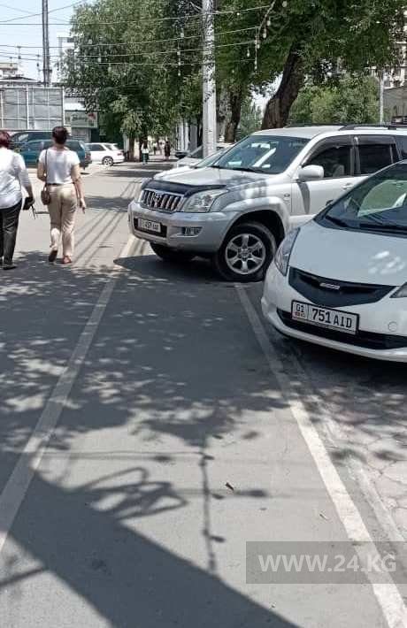 Чудаки парковки