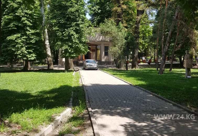 Чудаки парковки