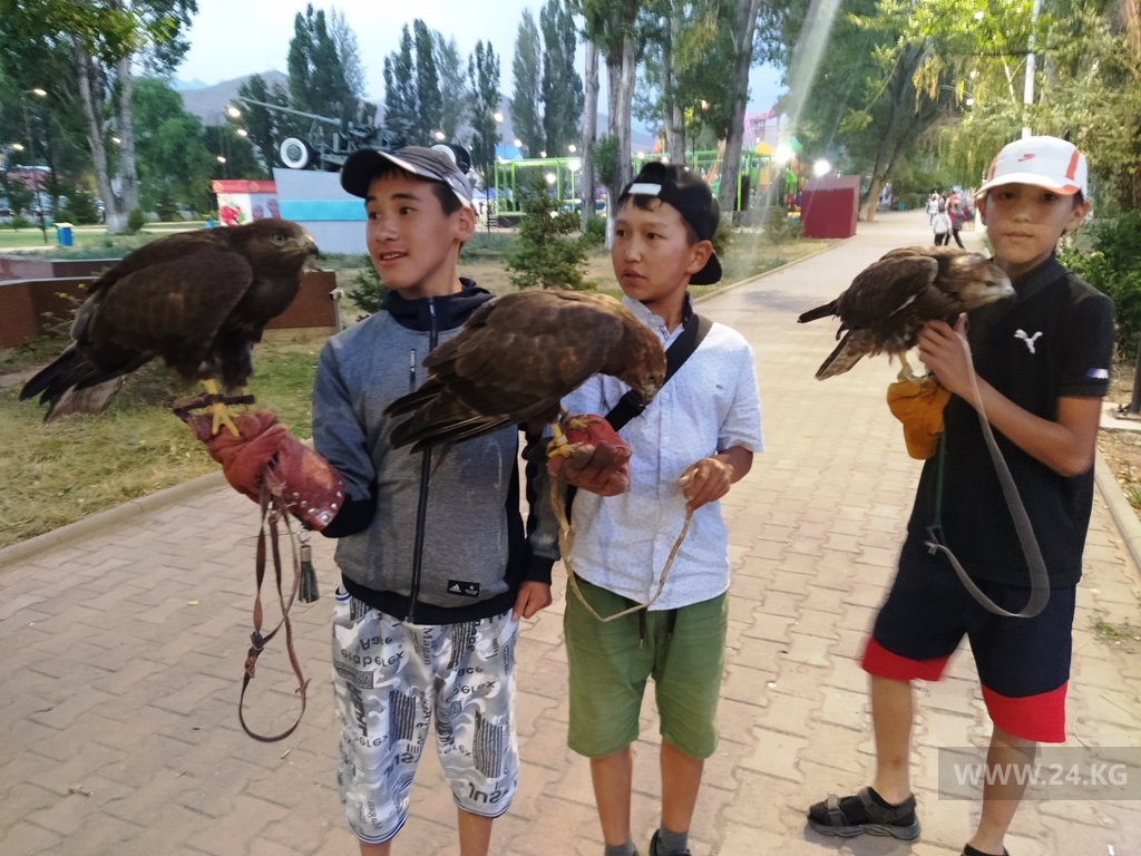Дети предлагают сфотографироваться с хищными птицами