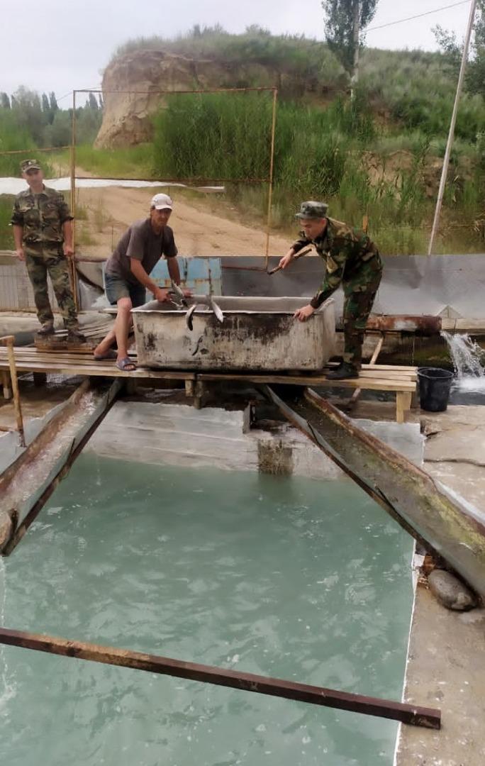 Рыбное хозяйство