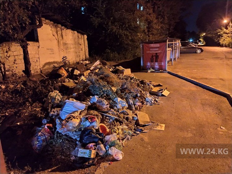 Стихийная свалка мусора на улице Скрябина в Бишкеке