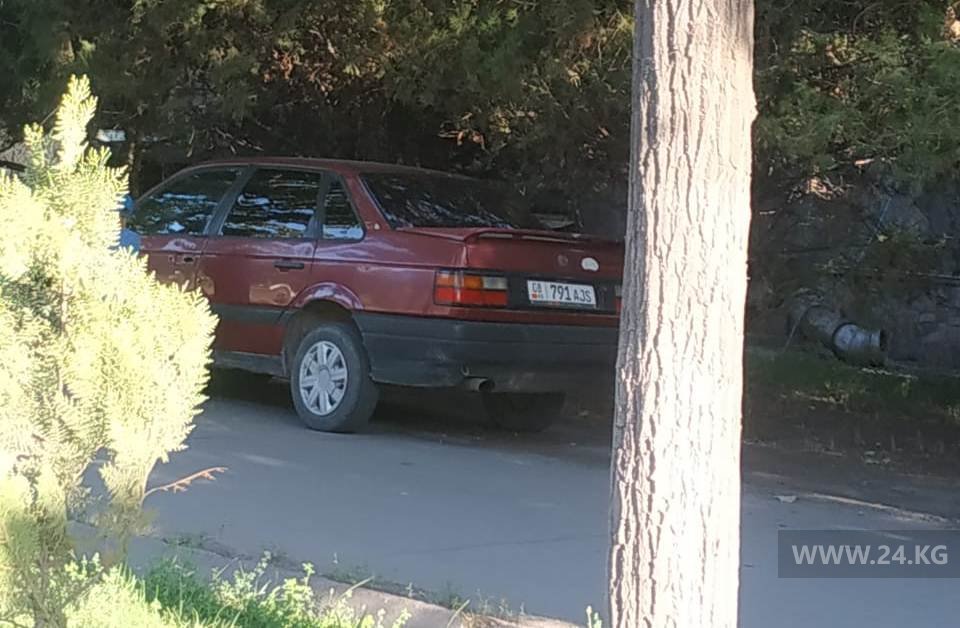 Чудаки парковки