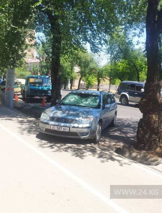 Чудаки парковки