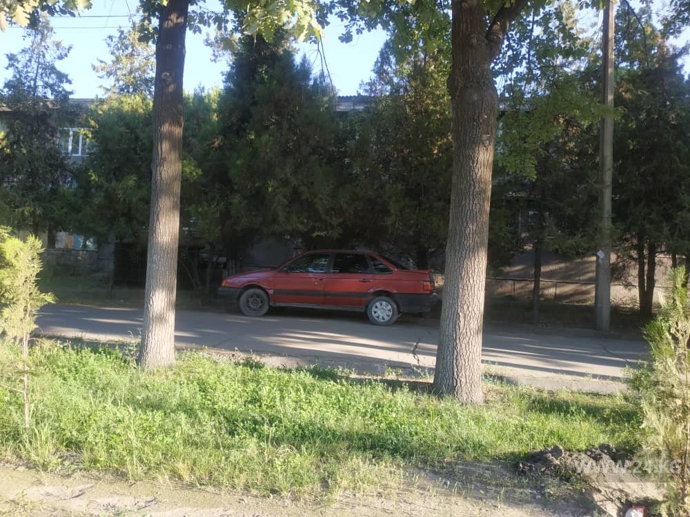Чудаки парковки