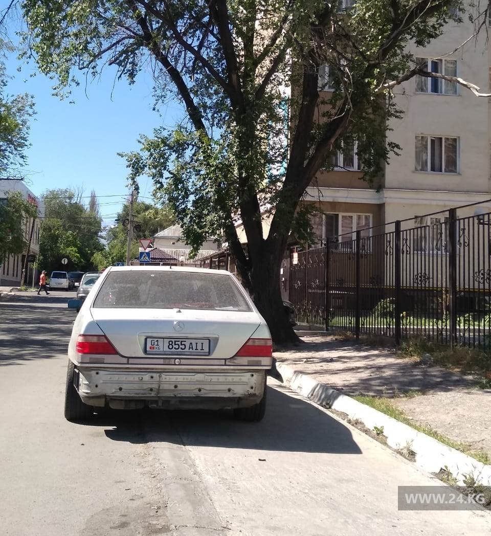 Чудаки парковки