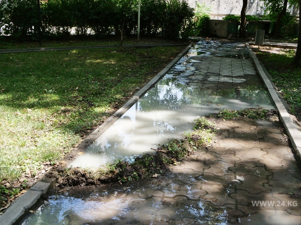 Аллея в Дубовом парке