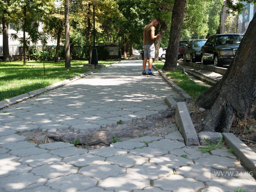 Тротуар в Дубовом парке