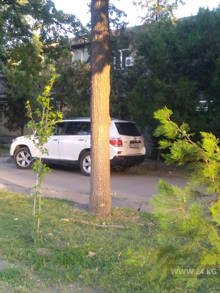Чудаки парковки