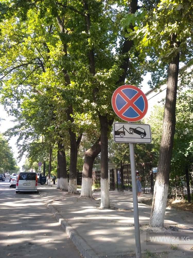 Чудаки парковки