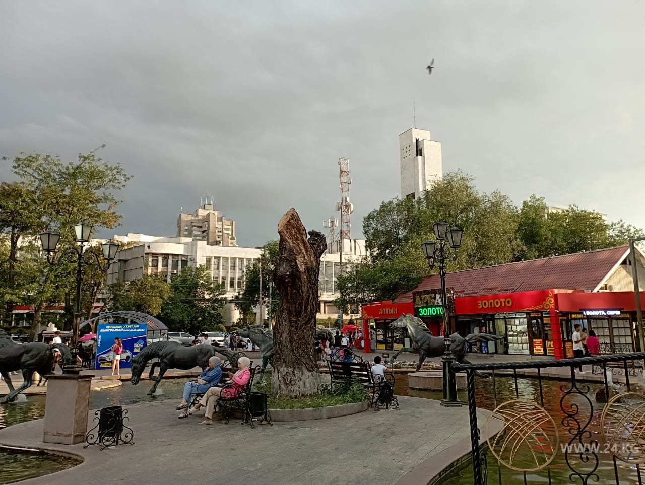 От ивы возле ЦУМа остался только ствол