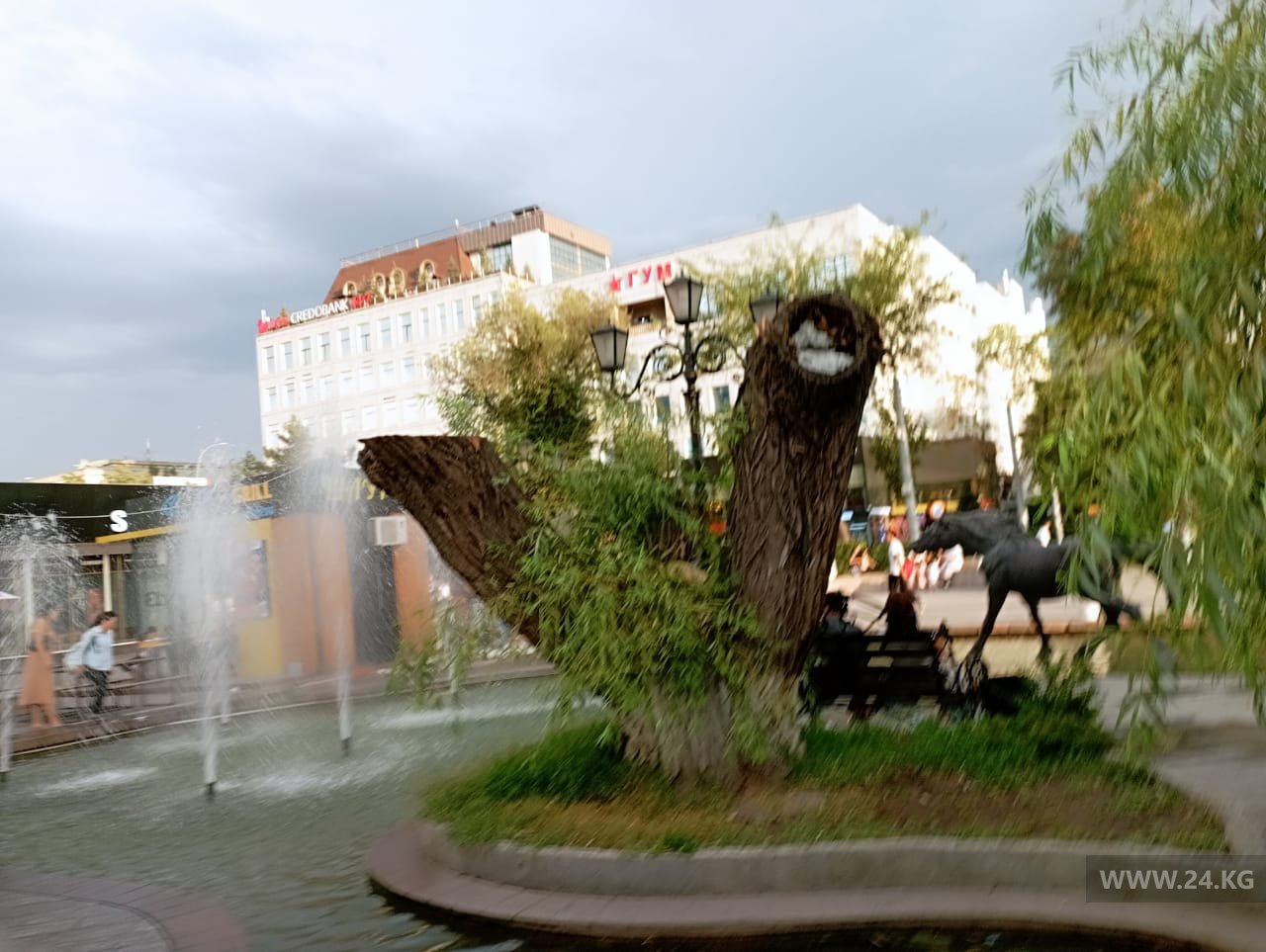 От ивы возле ЦУМа остался только ствол