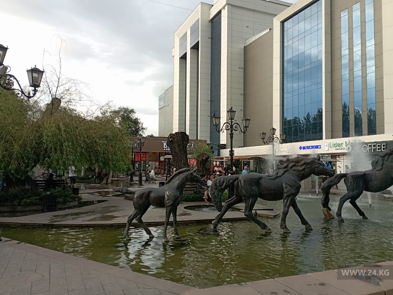 От ивы возле ЦУМа остался только ствол