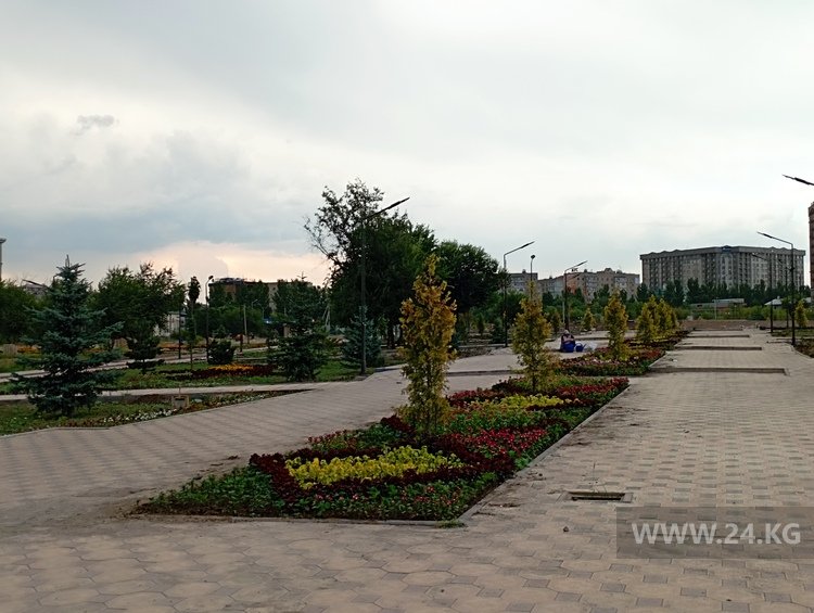 Растения в парке уже сохнут
