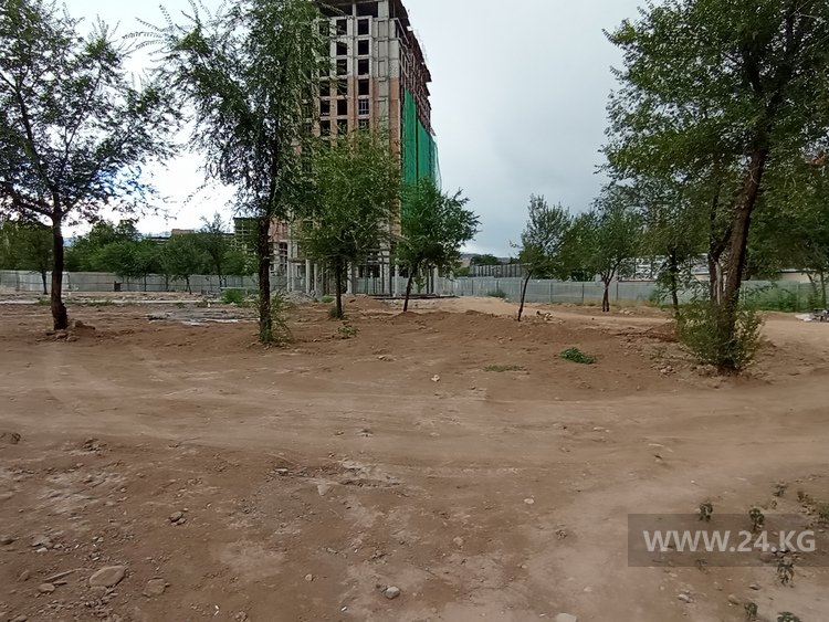 В парке дружбы Кыргызстана и Азербайджана аллеек вообще нет