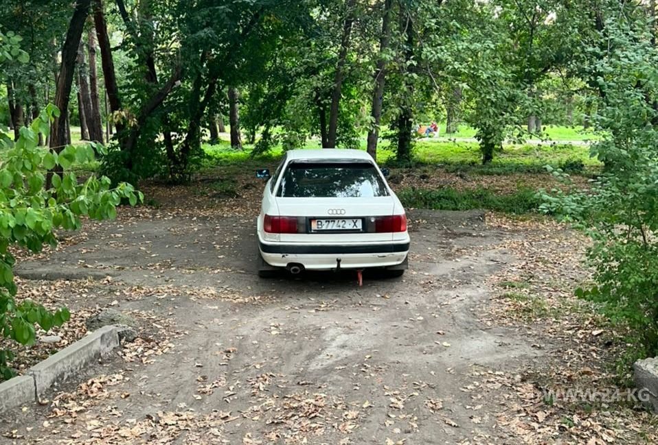 Чудаки парковки