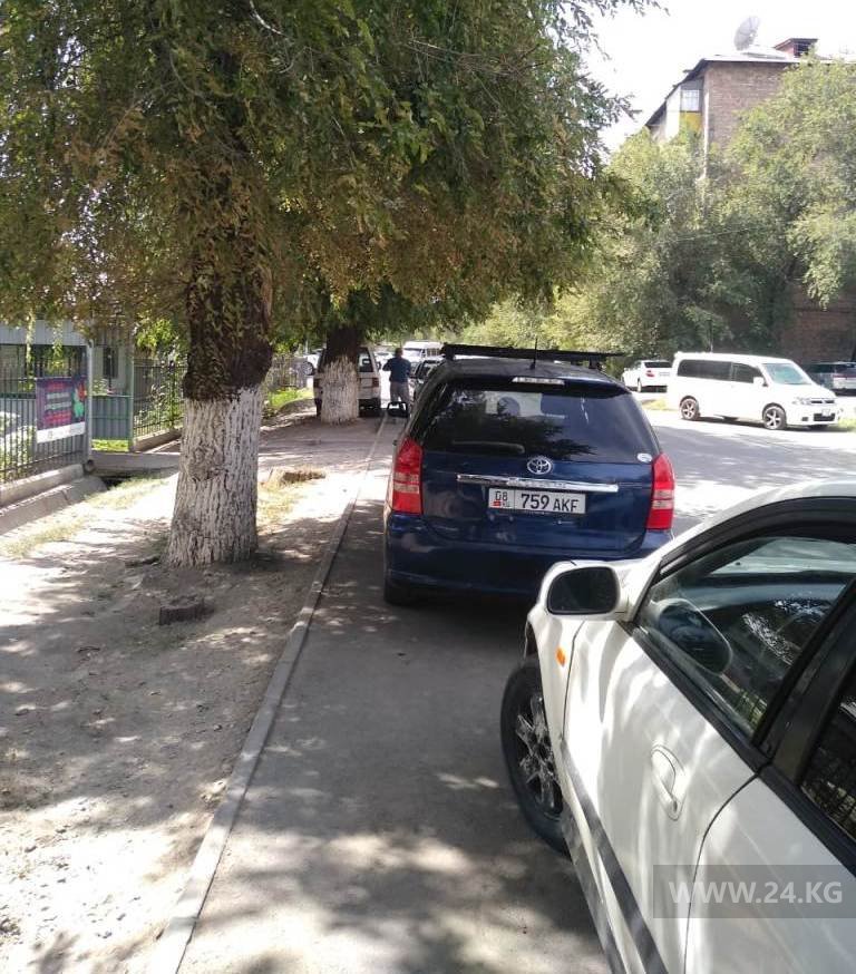 Чудаки парковки