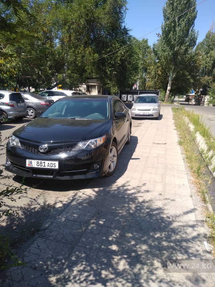 Чудаки парковки