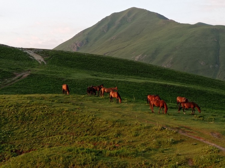 Джайлоо Джалпак-Таш