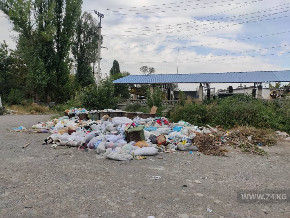 Свалка в «Городке энергетиков»