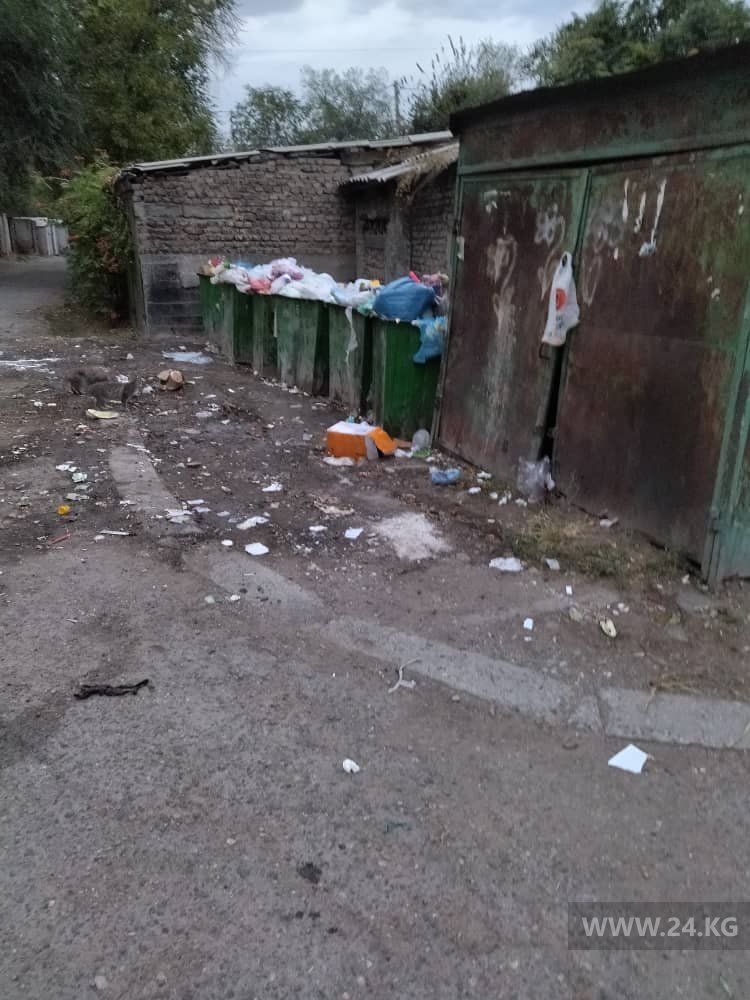 Контейнеры для мусора в центре Бишкека