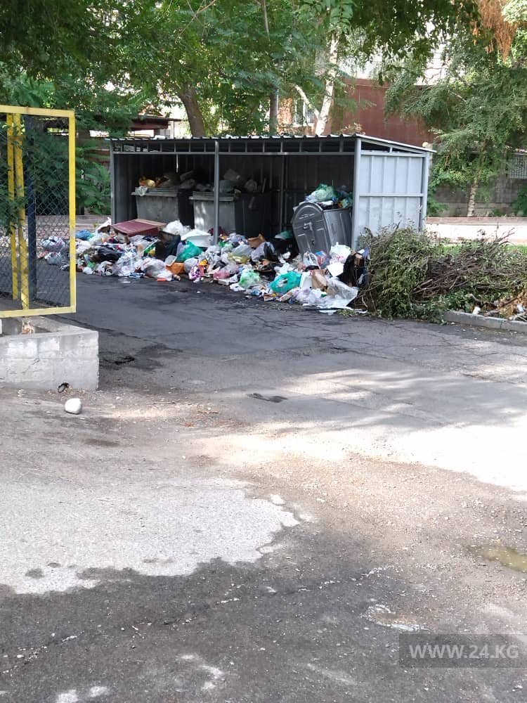 Контейнеры для мусора в центре Бишкека