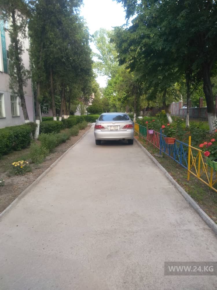 Чудаки парковки