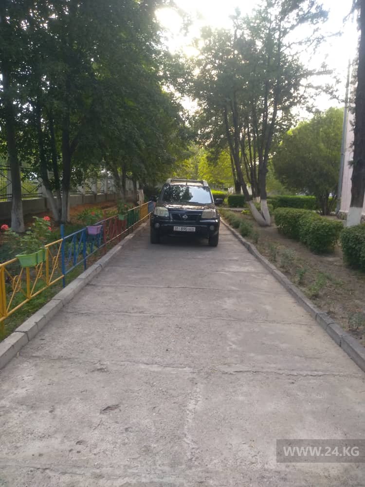 Чудаки парковки