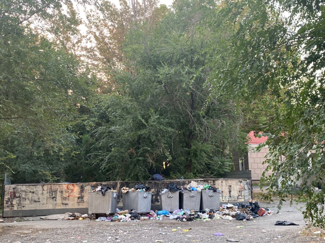 В двух шагах от здания парламента мусор не вывозят