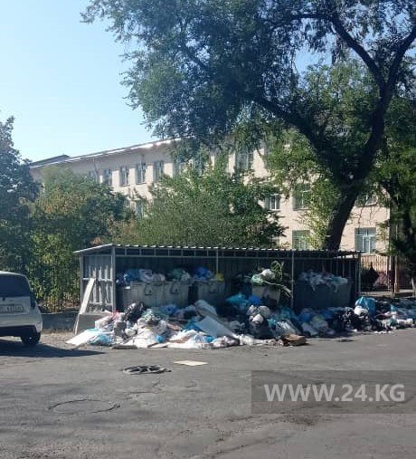 Контейнеры для мусора на улице Раззакова