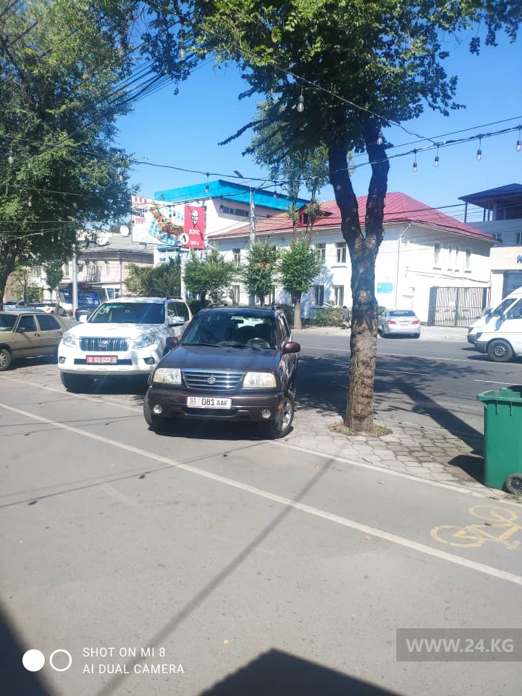 Чудаки парковки