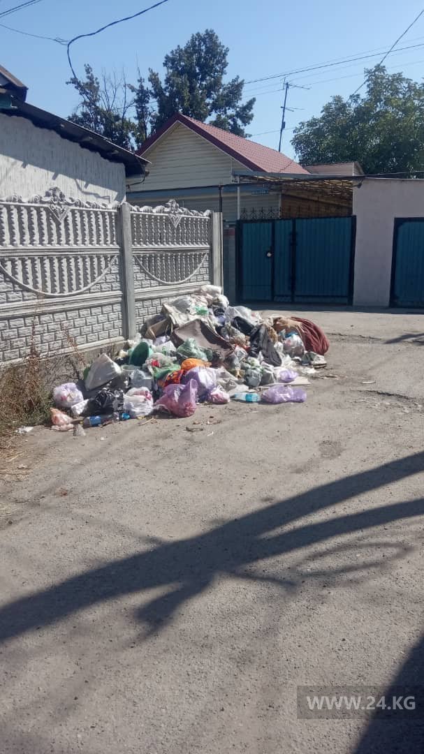 Мусор на улице Власова в Бишкеке