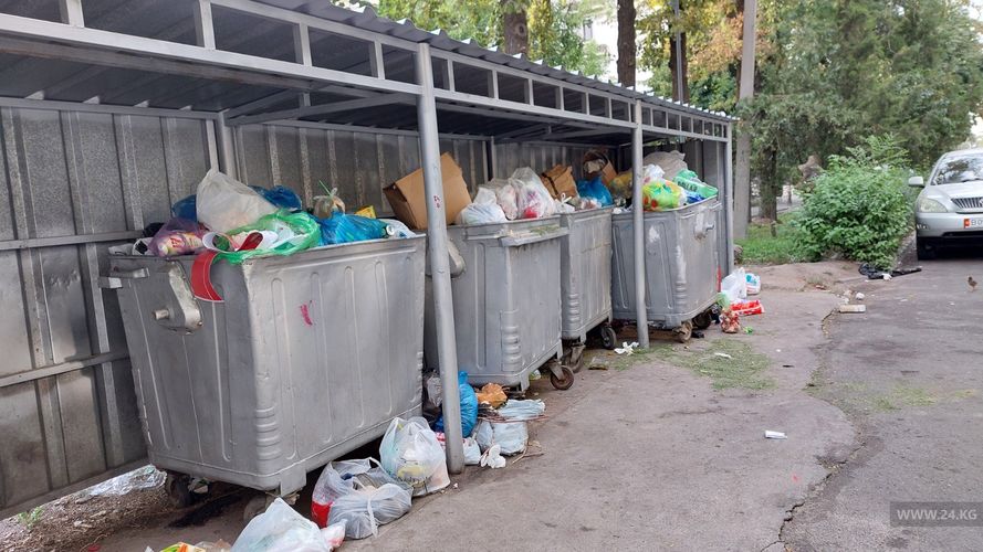 Мусорные баки на пересечении улиц Раззакова и Токтогула