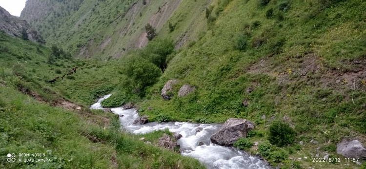 Алайкуу