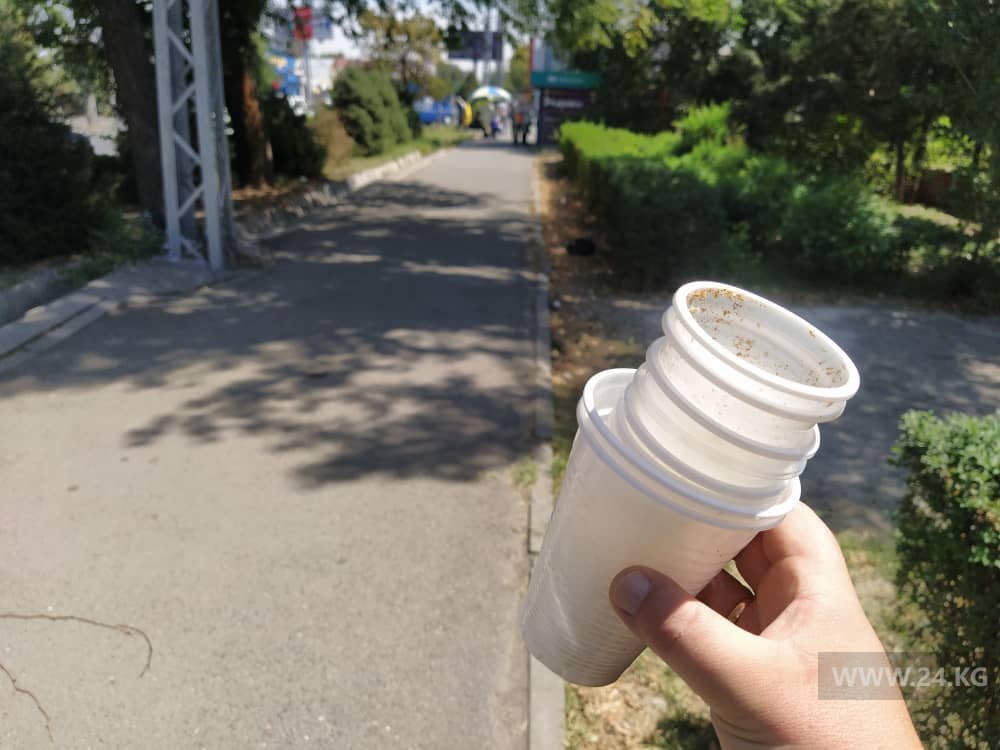 Стаканчики, собранные на небольшом участке улицы Ахунбаева