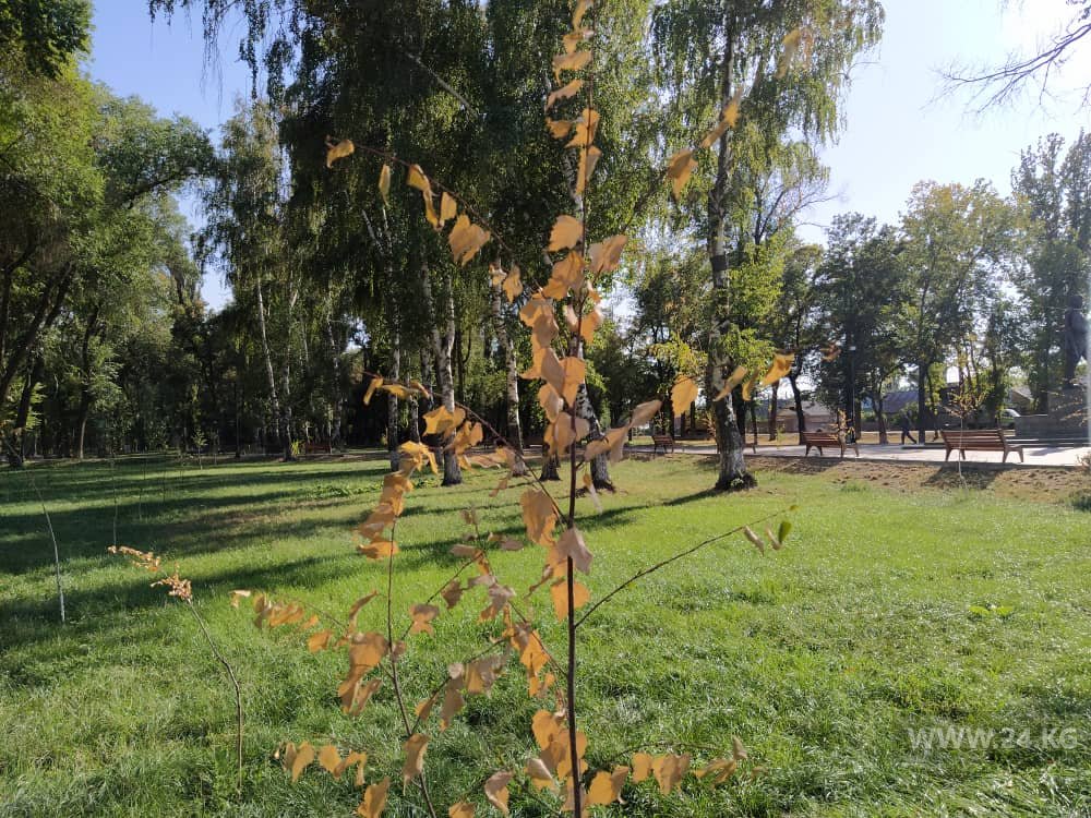 Парк имени Тулебердиева