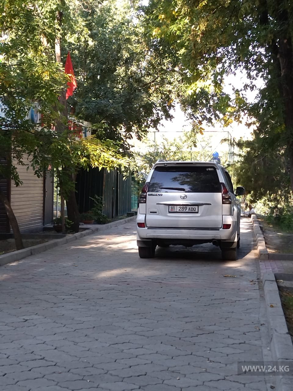Чудаки парковки