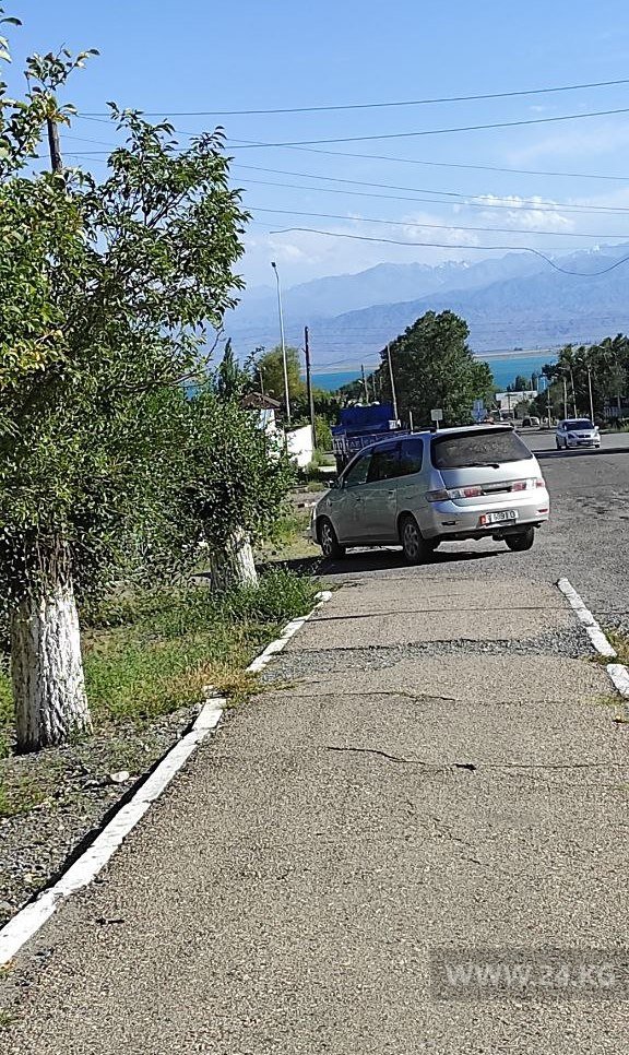 Чудаки парковки